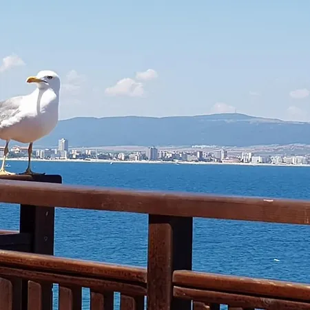 Elea شقة فندقية 4*